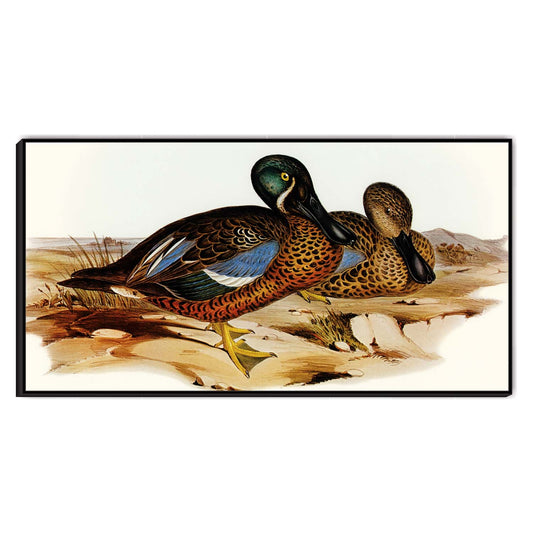 Teal Pair at Shore Canvas Wall Art