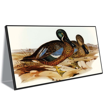 Teal Pair at Shore Canvas Wall Art