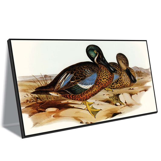 Teal Pair at Shore Canvas Wall Art