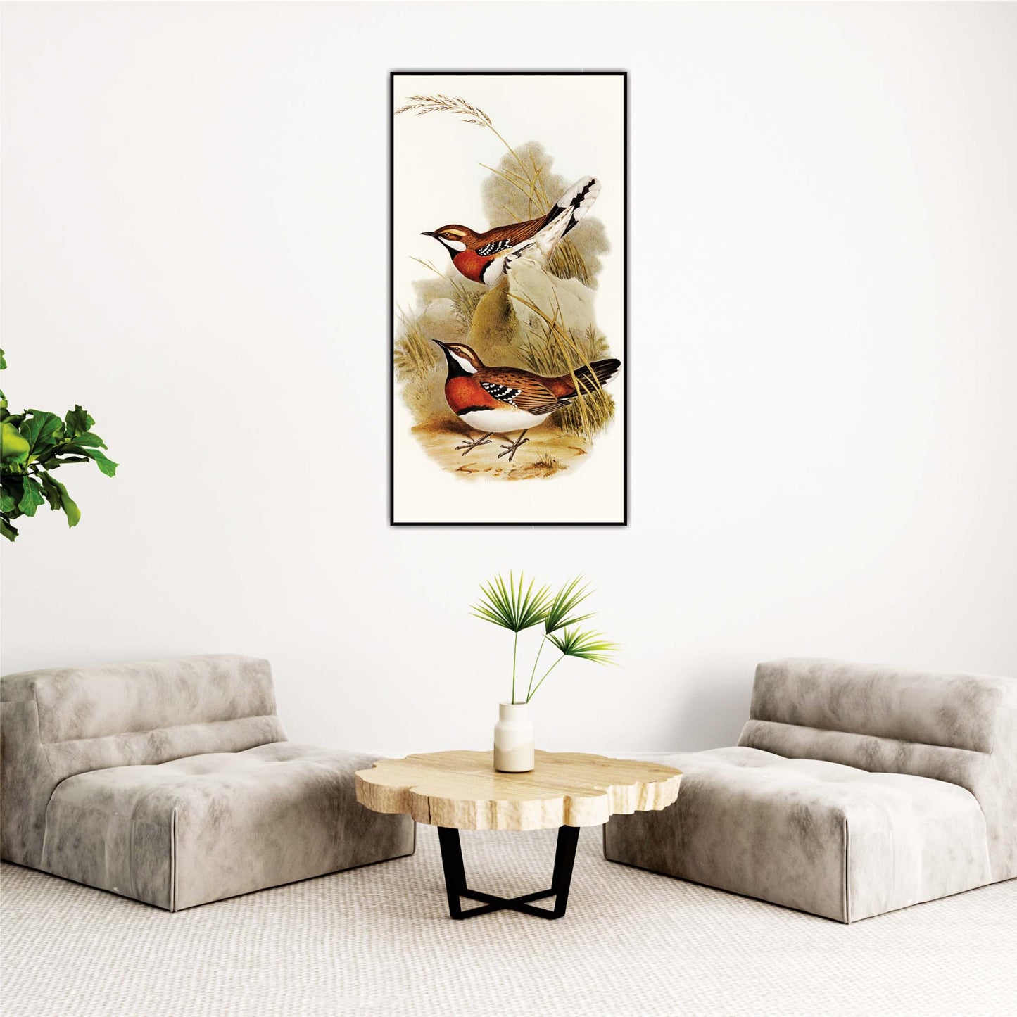Chestnut-Breasted Pair Canvas Wall Art