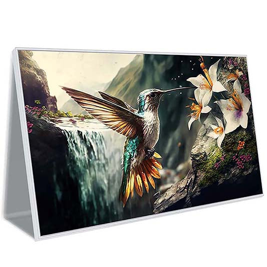 Wings Over Waterfall Canvas Wall Art