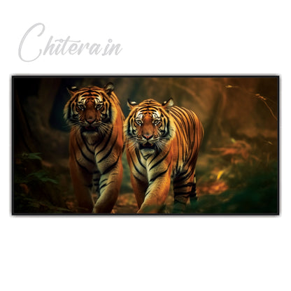 Tiger Staring Landscape wildlife Canvas Art