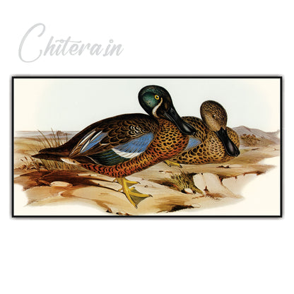 Duck Canvas art Print Wall Painting