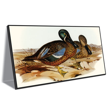 Duck Canvas art Print Wall Painting