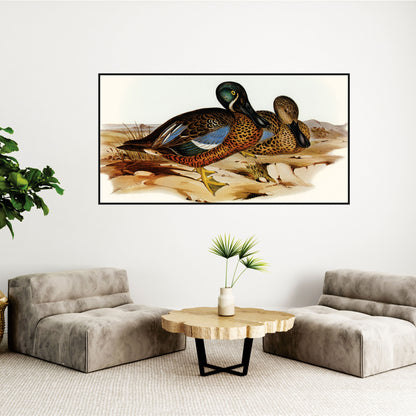 Duck Canvas art Print Wall Painting