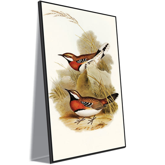 Bird Canvas art Print Wall Painting